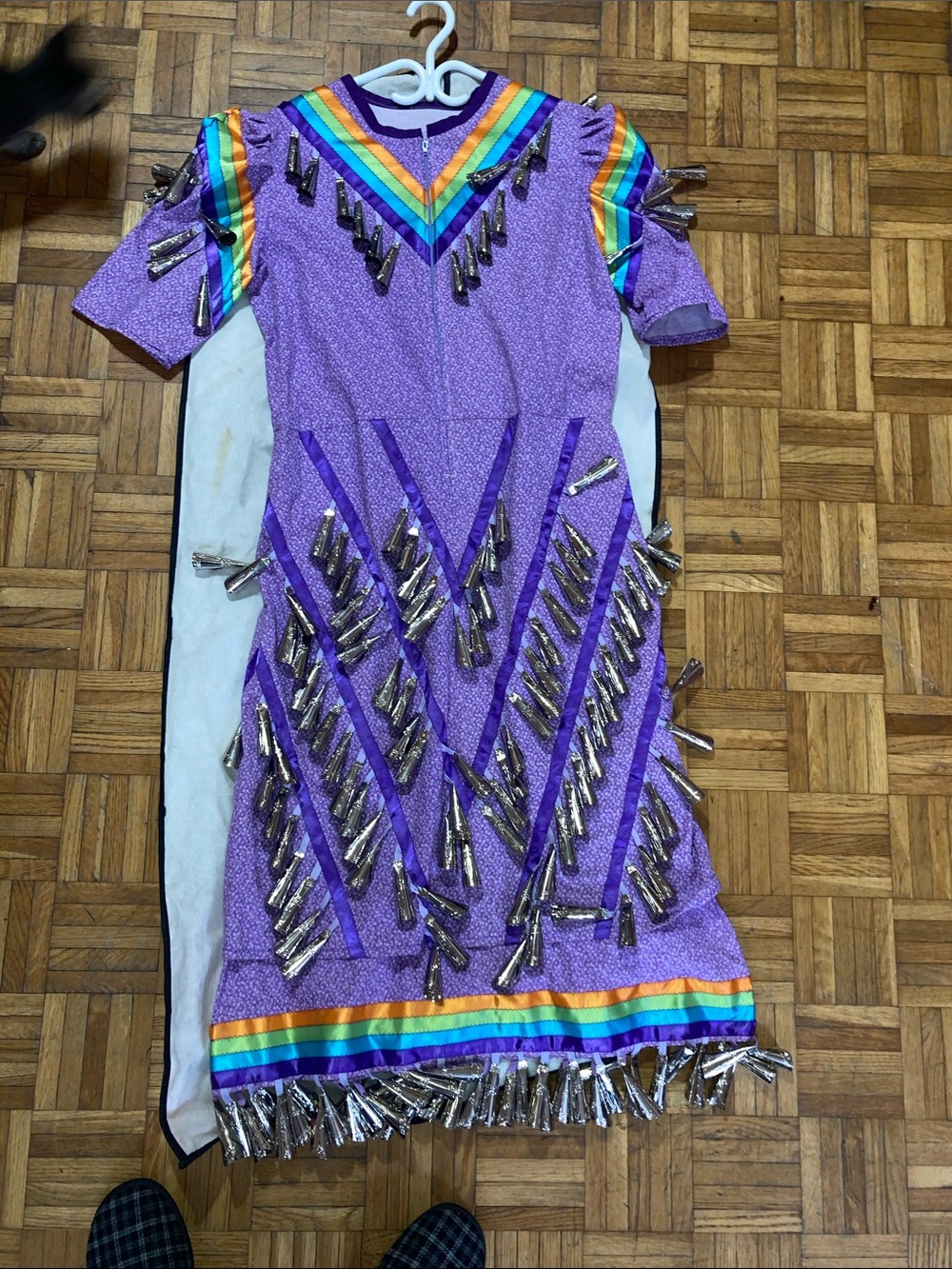 Rare Native Indian indigenous ceremonial jingle dress
